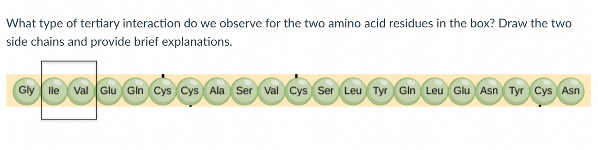 What type of tertiary interaction do we observe for the two amino acid residues in the box? Draw the two
side chains and provide brief explanations.
Gly lle Val Glu Gln Cys Cys Ala Ser Val Cys Ser Leu Tyr Gln Leu Glu Asn Tyr Cys Asn

