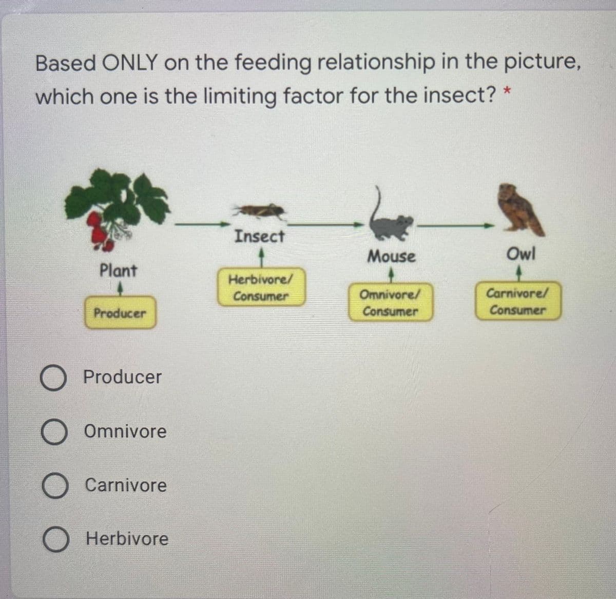 Based ONLY on the feeding relationship in the picture,
which one is the limiting factor for the insect? *
Insect
Mouse
Owl
Plant
Herbivore/
Consumer
Omnivore/
Carnivore/
Producer
Consumer
Consumer
O Producer
Omnivore
O Carnivore
Herbivore
