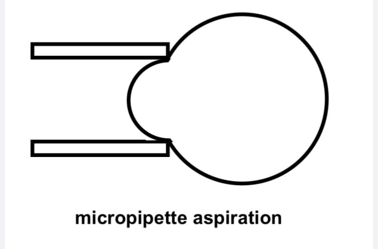 micropipette aspiration
