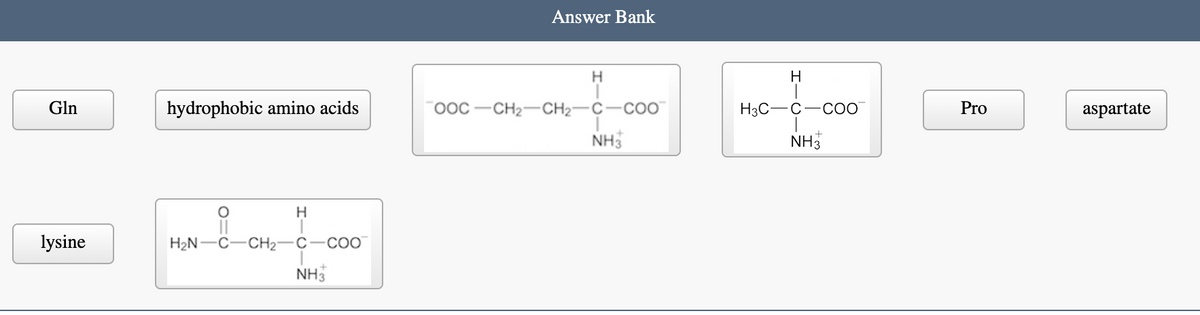 Gln
lysine
hydrophobic amino acids
H₂N-
H
CH₂-C-COO
NH3
Answer Bank
H
OOC-CH₂-CH₂- C-COO
NH3
H
H3C-C-COO™
NH3
Pro
aspartate