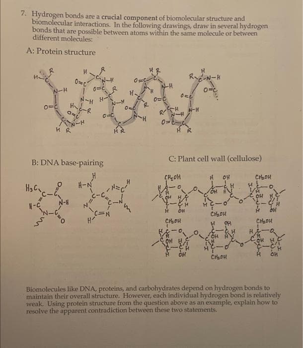 7. Hydrogen bonds are a crucial component of biomolecular structure and
biomolecular interactions. In the following drawings, draw in several hydrogen
bonds that are possible between atoms within the same molecule or between
different molecules:
A: Protein structure
H₂C₁
#1
N-H
N-C
0=C
HR
1
N-H
ORU
0=C
N-HH-CR
B: DNA base-pairing
H
H-N
N-H
N=C
C-C
H
0=C
NIH
C
C=N
HR
0=3₁
HR
H-9-4
0-0
NIH
N-H
0=C
0=0
RECH N-H
N-H
0=8-₁
OH
HR
C: Plant cell wall (cellulose)
CH₂OH
H
BỆNH
O=C
HA
CH
OH
H
CH₂OH
(
он
H
HC-0
CH₂₂OH
H
OH
1
TH
OH H
IN
HC-
OH
H
CH₂OH
CH₂₂OH
O
OH H
C-CH
H
bH
CH₂₂OH
VA
HS
COK
H ОН
Biomolecules like DNA, proteins, and carbohydrates depend on hydrogen bonds to
maintain their overall structure. However, each individual hydrogen bond is relatively
weak. Using protein structure from the question above as an example, explain how to
resolve the apparent contradiction between these two statements.