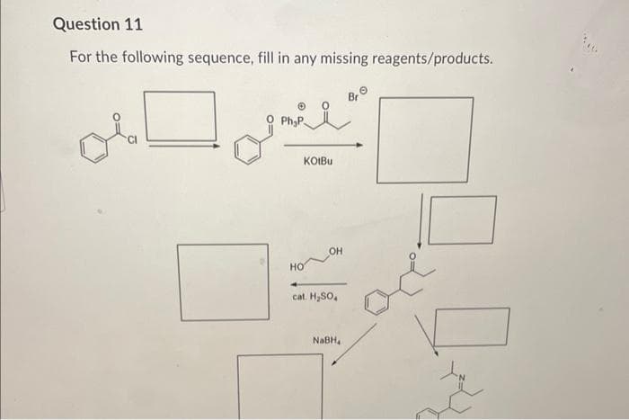 Question 11
For the following sequence, fill in any missing reagents/products.
تیس سال
PhyP..
KOIBu
HO
OH
4
cat. H₂SO4
NaBH