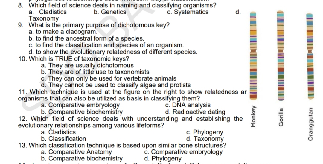 8. Which field of science deals in naming and classifying organisms?
a. Cladistics
Taxonomy
9. What is the primary purpose of dichotomous key?
a. to make a cladogram.
b. to find the ancestral form of a species.
c. to find the classification and species of an organism.
d. to show the evolutionary relatedness of different species.
10. Which is TRUE of taxonomic keys?
a. They are usually dichotomous
b. They are of little use to taxonomists
c. They can only be used for vertebrate animals
d. They cannot be used to classify algae and protists
11. Which technique is used at the figure on the right to show relatedness ar
organisms that can also be utilized as basis in classifying them?
b. Genetics
c. Systematics
d.
a. Comparative embryology
b. Comparative biochemistry
c. DŇA analysis
d. Radioactive dating
12. Which field of science deals with understanding and establishing the
evolutionary relationships among various lifeforms?
a. Cladistics
b. Classification
c. Phylogeny
d. Taxonomy
13. Which classification technique is based upon similar bone structures?
c. Comparative embryology
a. Comparative Anatomy
b. Comparative biochemistry
d. Phylogeny
Oranggutan
