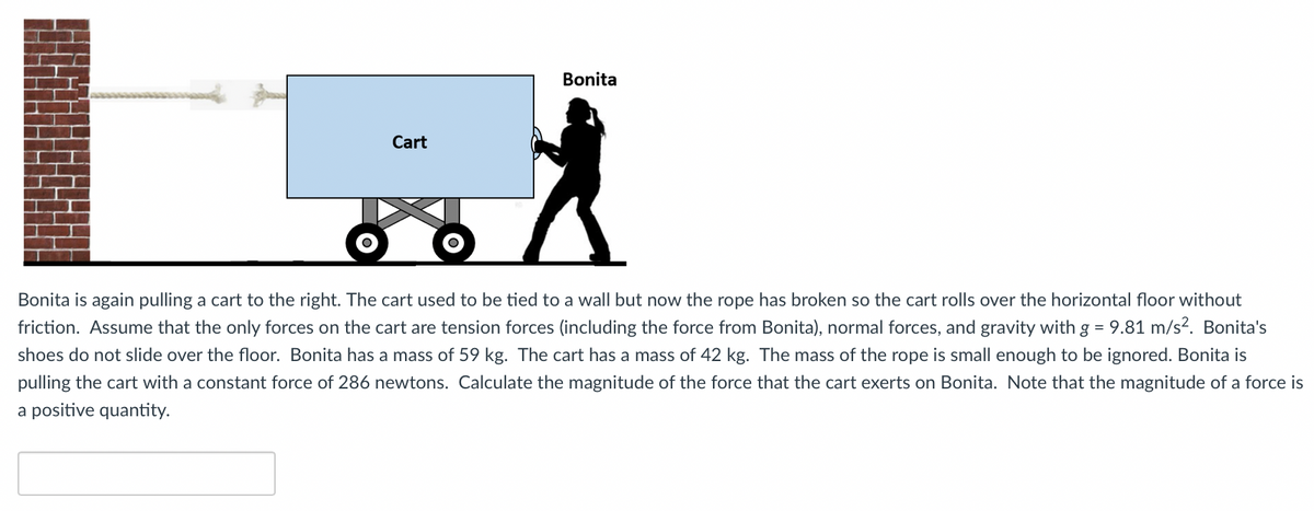 Bonita
Cart
Bonita is again pulling a cart to the right. The cart used to be tied to a wall but now the rope has broken so the cart rolls over the horizontal floor without
friction. Assume that the only forces on the cart are tension forces (including the force from Bonita), normal forces, and gravity with g = 9.81 m/s². Bonita's
shoes do not slide over the floor. Bonita has a mass of
kg. The cart has a mass of 42 kg. The mass of the rope is small enough to be ignored. Bonita is
pulling the cart with a constant force of 286 newtons. Calculate the magnitude of the force that the cart exerts on Bonita. Note that the magnitude of a force is
a positive quantity.
