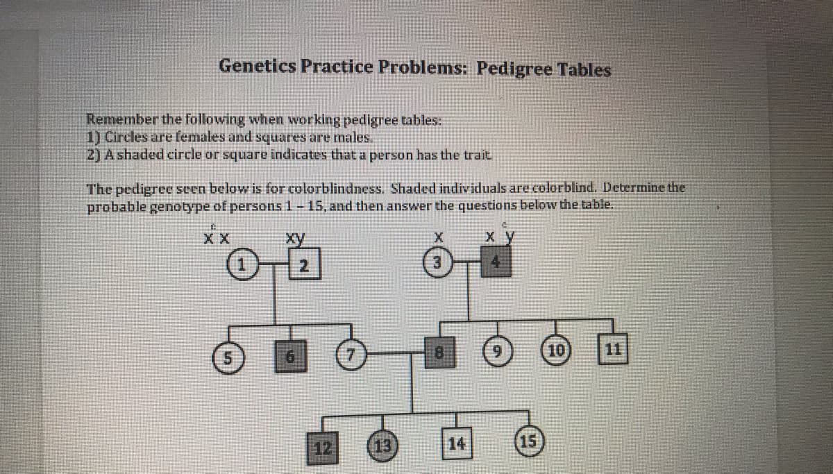 Genetics Practice Problems: Pedigree Tables
Remember the following when working pedigree tables:
1) Circles are females and squares are males.
2) A shaded circle or square indicates that a person has the trait
The pedigree seen below is for colorblindness. Shaded individuals are colorblind. Determine the
probable genotype of persons 1- 15, and then answer the questions below the table.
X X
xy
x y
1
2.
10
11
12
13
14
(15
