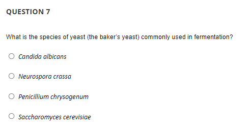 QUESTION 7
What is the species of yeast (the baker's yeast) commonly used in fermentation?
O Candida albicans
O Neurospora crassa
O Penicillium chrysogenum
O saccharomyces cerevisiae
