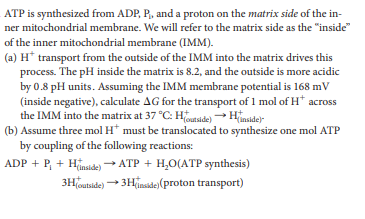 ATP is synthesized from ADP, P, and a proton on the matrix side of the in-
ner mitochondrial membrane. We will refer to the matrix side as the "inside"
of the inner mitochondrial membrane (IMM).
(a) H* transport from the outside of the IMM into the matrix drives this
process. The pH inside the matrix is 8.2, and the outside is more acidic
by 0.8 pH units. Assuming the IMM membrane potential is 168 mV
(inside negative), calculate AG for the transport of 1 mol of H* across
the IMM into the matrix at 37 °C: Houtside) Hinside)
(b) Assume three mol H* must be translocated to synthesize one mol ATP
by coupling of the following reactions:
ADP + P, + Hinskde) ATP + H,O(ATP synthesis)
3Hinside)(proton transport)
3Houtside)
