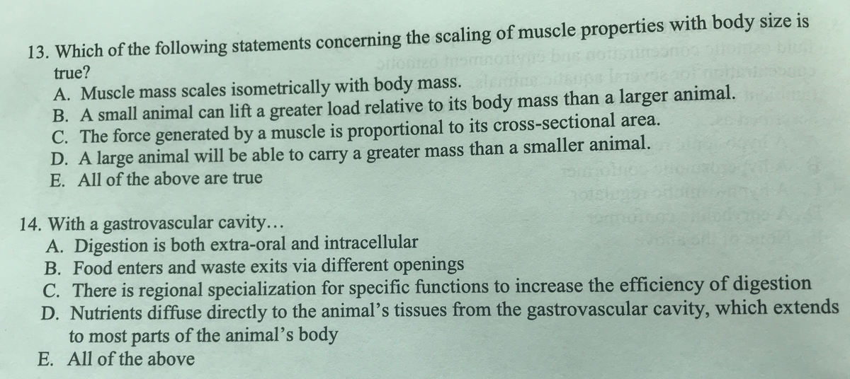 13. Which of the following statements concerning the scaling of muscle properties with body size is
true?
A. Muscle mass scales isometrically with body mass.
Insvor
B. A small animal can lift a greater load relative to its body mass than a larger animal.
C. The force generated by a muscle is proportional to its cross-sectional area.
D. A large animal will be able to carry a greater mass than a smaller animal.
E. All of the above are true
14. With a gastrovascular cavity...
A. Digestion is both extra-oral and intracellular
B. Food enters and waste exits via different openings
C. There is regional specialization for specific functions to increase the efficiency of digestion
D. Nutrients diffuse directly to the animal's tissues from the gastrovascular cavity, which extends
to most parts of the animal's body
E. All of the above