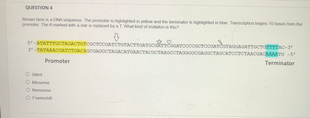 QUESTION 4
Shown here is a DNA sequence. The promoter is highlighted in yellow and the terminator is highlighted in blue. Transcription begins 10 bases from the
promoter. The A marked with a star is replaced by a T. What kind of mutaiton is this?
5'-ATATTTGCTAGACTGTCGCTCCGATCTGTACTTGATGCGATTČGGATCCCCGCTCCGATCGTAGGAGATTGCTGTTTTAC-3'
3'-TATAAACGATCTGACAGCGAGGCTAGACATGAACTACGCTAAGCCTAGGGGCGAGGCTAGCATCCTCTAACGACAAAATG -5'
Promoter
Terminator
O Silent
O Missense
O Nonsense
O Frameshift
