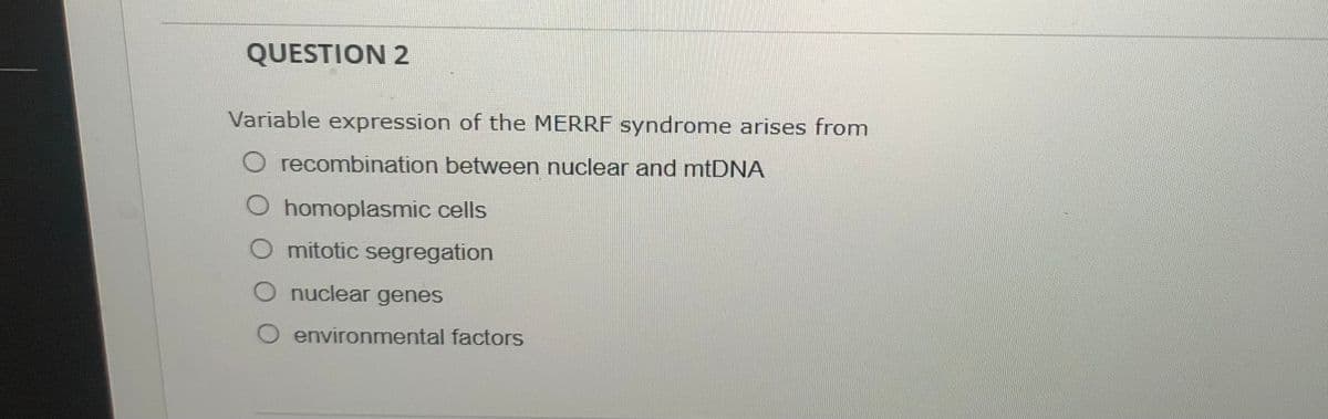 QUESTION 2
Variable expression of the MERRF syndrome arises from
recombination between nuclear and mtDNA
O homoplasmic cells
mitotic segregation
nuclear genes
environmental factors
