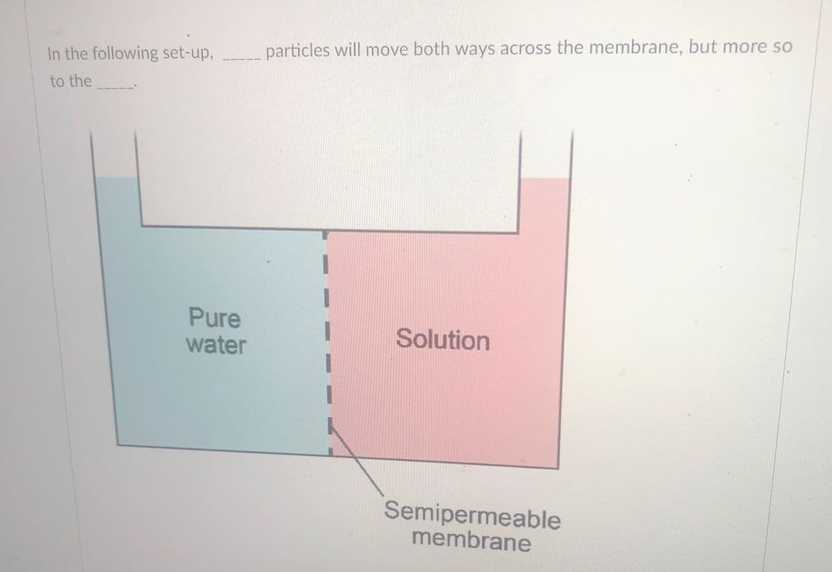 In the following set-up,
particles will move both ways across the membrane, but more so
to the
Pure
water
Solution
Semipermeable
membrane
