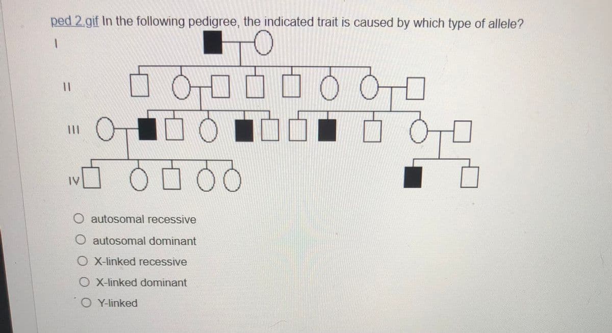 ped 2.gif In the following pedigree, the indicated trait is caused by which type of allele?
%3|
IV
autosomal recessive
O autosomal dominant
OX-linked recessive
O X-linked dominant
Y-linked
