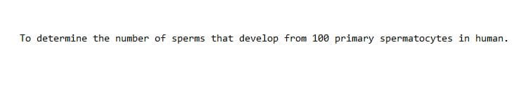 To determine the number of sperms that develop from 100 primary spermatocytes in human.