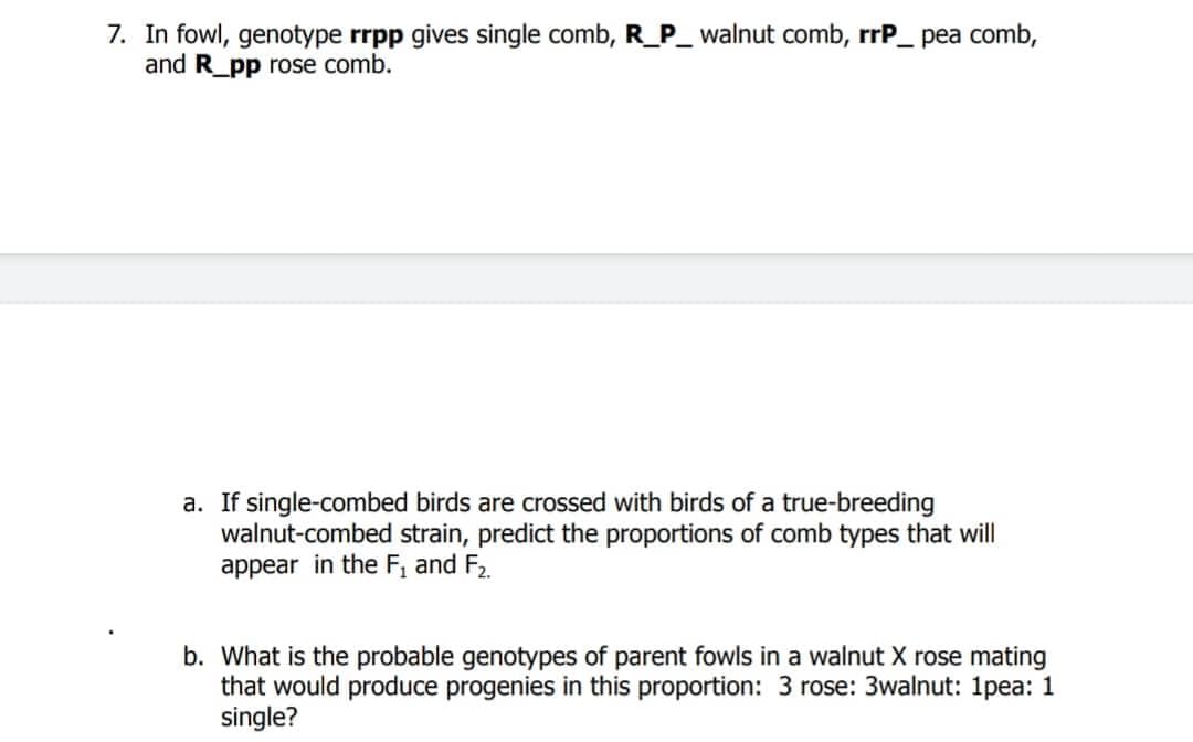 7. In fowl, genotype rrpp gives single comb, R_P_ walnut comb, rrP_ pea comb,
and R_pp rose comb.
a. If single-combed birds are crossed with birds of a true-breeding
walnut-combed strain, predict the proportions of comb types that will
appear in the F₁ and F₂.
b. What is the probable genotypes of parent fowls in a walnut X rose mating
that would produce progenies in this proportion: 3 rose: 3walnut: 1pea: 1
single?