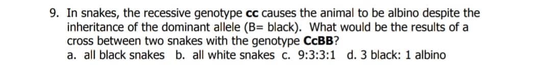 9. In snakes, the recessive genotype cc causes the animal to be albino despite the
inheritance of the dominant allele (B= black). What would be the results of a
cross between two snakes with the genotype CcBB?
a. all black snakes b. all white snakes c. 9:3:3:1 d. 3 black: 1 albino