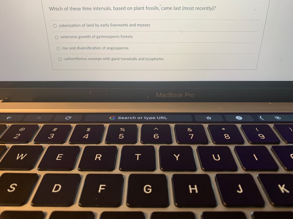 Which of these time intervals, based on plant fossils, came last (most recently)?
O colonization of land by early liverworts and mosses
O extensive growth of gymnosperm forests
O rise and diversification of angiosperms
O carboniferous swamps with giant horsetails and lycophytes
MacBook Pro
Search or type URL
#3
$
%
&
*
4
5
6.
W
E
R
T.
Y
G
K
F.
