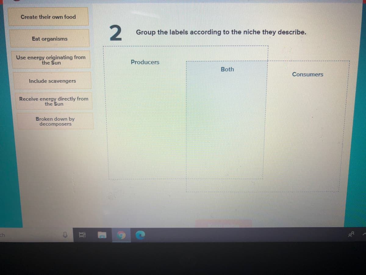 Create their own food
2
Group the labels according to the niche they describe.
Eat organisms
Use energy originating from
the Sun
Producers
Both
Consumers
Include scavengers
Receive energy directly from
the Sun
Broken down by
decomposers
ch
