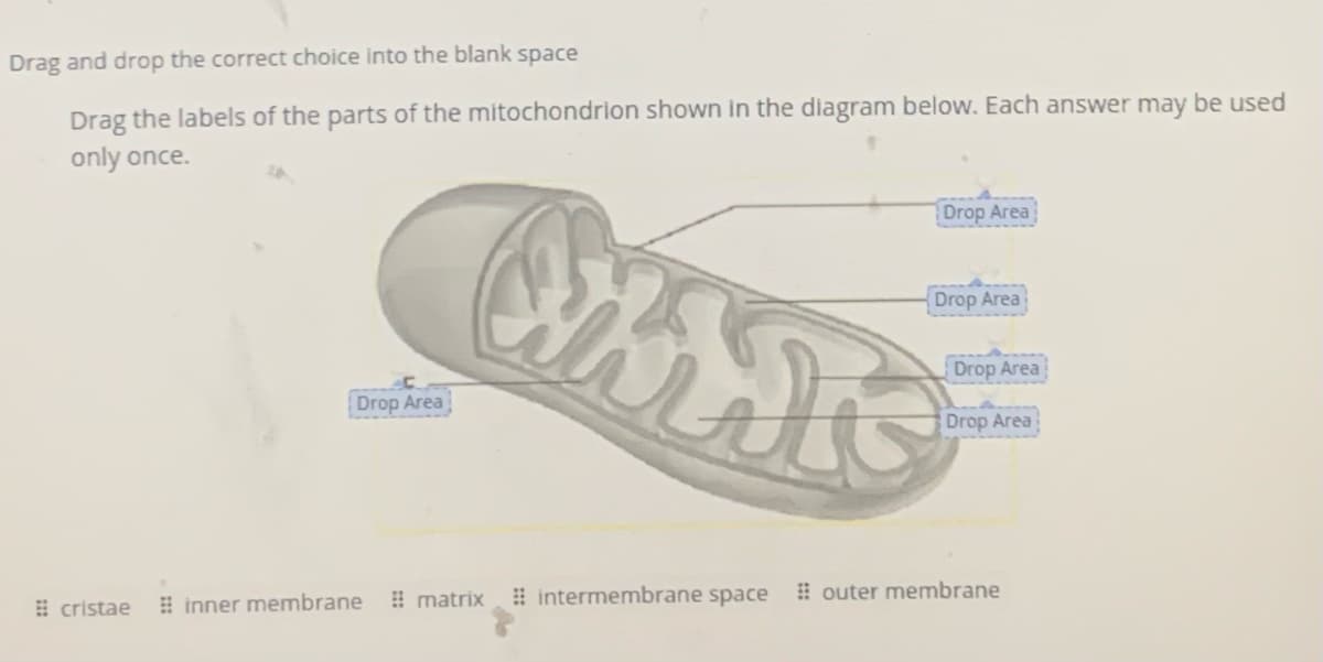 Drag and drop the correct choice into the blank space
Drag the labels of the parts of the mitochondrion shown in the diagram below. Each answer may be used
only once.
Drop Area
Drop Area
Drop Area
Drop Area
Drop Area
! matrix intermembrane space
! outer membrane
E cristae
! inner membrane
