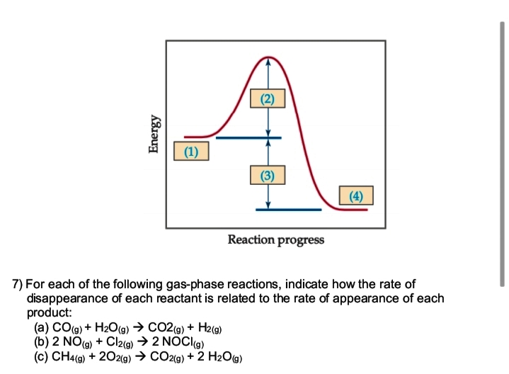 (1)
(3)
(4)
Reaction progress
7) For each of the following gas-phase reactions, indicate how the rate of
disappearance of each reactant is related to the rate of appearance of each
product:
(a) CO(g) + H2O(9) → CO2(g) + H2(9)
(b) 2 NO9) + Cl2(9) → 2 NOCIg)
(c) CH4(9) + 202(g) → CO2(g) + 2 H2O(g)
Energy
