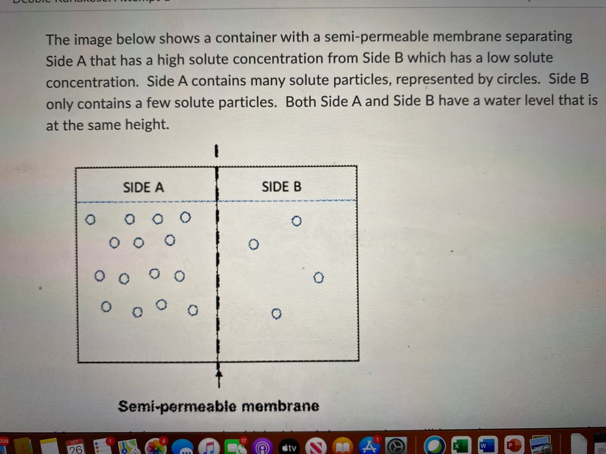 The image below shows a container with a semi-permeable membrane separating
Side A that has a high solute concentration from Side B which has a low solute
concentration. Side A contains many solute particles, represented by circles. Side B
only contains a few solute particles. Both Side A and Side B have a water level that is
at the same height.
SIDE A
SIDE B
Semi-permeable membrane
326
26
étv
