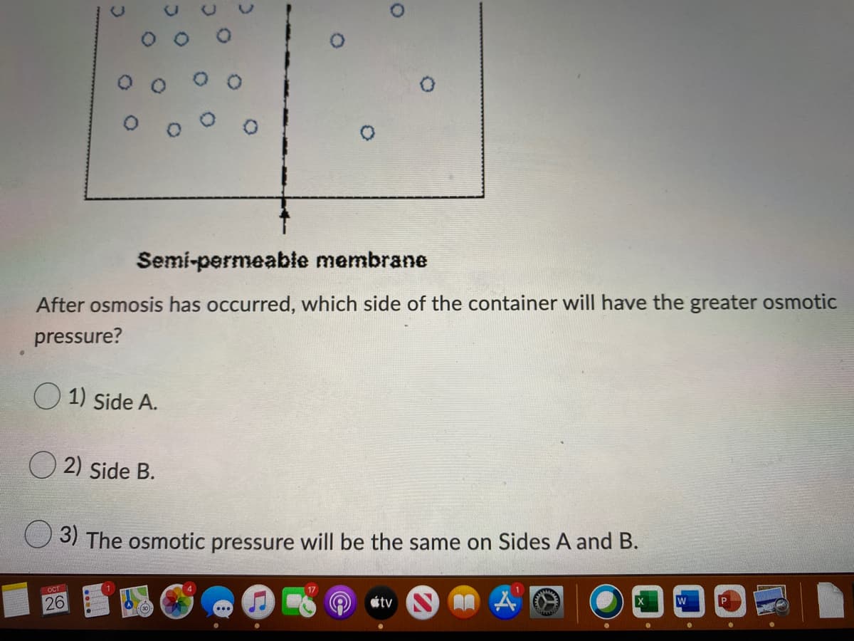 Semi-permeable membrane
After osmosis has occurred, which side of the container will have the greater osmotic
pressure?
1) Side A.
2) Side B.
31 The osmotic pressure will be the same on Sides A and B.
OCT
17
26
tv
