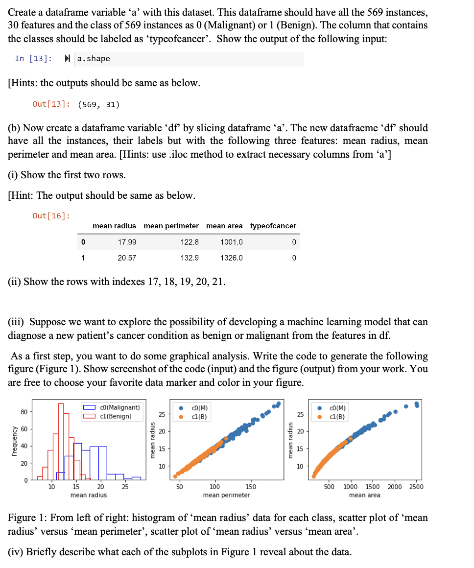 Create a dataframe variable 'a' with this dataset. This dataframe should have all the 569 instances,
30 features and the class of 569 instances as 0 (Malignant) or 1 (Benign). The column that contains
the classes should be labeled as 'typeofcancer'. Show the output of the following input:
In [13]:
▸a.shape
[Hints: the outputs should be same as below.
Out [13] (569, 31)
(b) Now create a dataframe variable 'df' by slicing dataframe 'a'. The new datafraeme 'df' should
have all the instances, their labels but with the following three features: mean radius, mean
perimeter and mean area. [Hints: use .iloc method to extract necessary columns from 'a']
(i) Show the first two rows.
[Hint: The output should be same as below.
Out [16]:
80
0
(ii) Show the rows with indexes 17, 18, 19, 20, 21.
60
1
40
mean radius mean perim
17.99
20.57
(iii) Suppose we want to explore the possibility of developing a machine learning model that can
diagnose a new patient's cancer condition as benign or malignant from the features in df.
20
As a first step, you want to do some graphical analysis. Write the code to generate the following
figure (Figure 1). Show screenshot of the code (input) and the figure (output) from your work. You
are free to choose your favorite data marker and color in your figure.
10
CO(M)
25
● c1(B)
20
OD07
15
10
50
150
100
mean perimeter
122.8
132.9
mean area typeofcancer
1001.0
1326.0
CO(Malignant)
c1(Benign)
0
0
15 20
mean radius
25
10
CO(M)
c1(B)
500
1000 1500 2000 2500
mean area
Figure 1: From left of right: histogram of 'mean radius' data for each class, scatter plot of 'mean
radius' versus 'mean perimeter', scatter plot of 'mean radius' versus 'mean area'.
(iv) Briefly describe what each of the subplots in Figure 1 reveal about the data.
