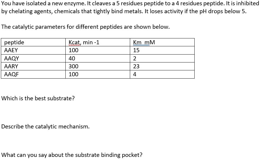 Which is the best substrate?
Describe the catalytic mechanism.
What can you say about the substrate binding pocket?
