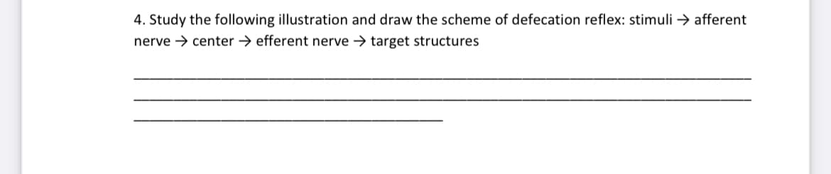 4. Study the following illustration and draw the scheme of defecation reflex: stimuli → afferent
nerve center efferent nerve → target structures