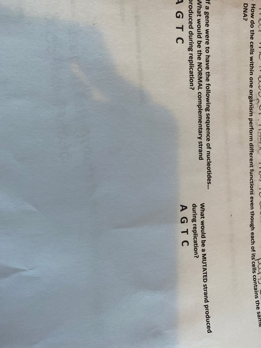 DNA?
If a gene were to have the following sequence of nucleotides...
What would be the NORMAL complementary strand
produced during replication?
What would be a MUTATED strand produced
during replication?
AGTC
AGTC
How do the cells one even though of its cells the same
