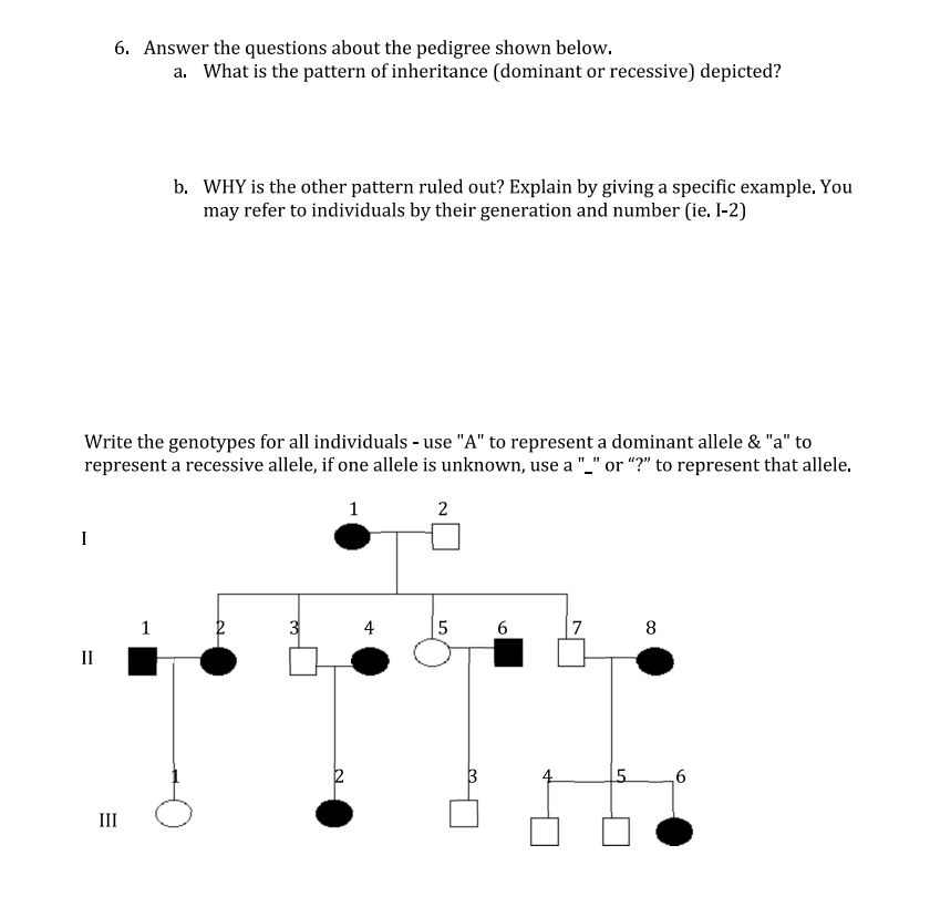 I
6. Answer the questions about the pedigree shown below.
a. What is the pattern of inheritance (dominant or recessive) depicted?
Write the genotypes for all individuals - use "A" to represent a dominant allele & "a" to
represent a recessive allele, if one allele is unknown, use a "_" or "?" to represent that allele.
1
2
II
III
b. WHY is the other pattern ruled out? Explain by giving a specific example. You
may refer to individuals by their generation and number (ie. I-2)
1
3
4
5
3
6
7
5
8
6