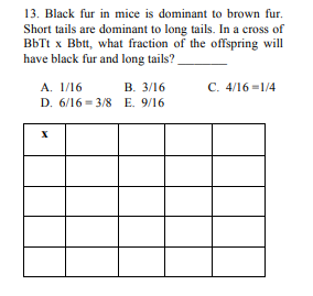 13. Black fur in mice is dominant to brown fur.
Short tails are dominant to long tails. In a cross of
BbTt x Bbtt, what fraction of the offspring will
have black fur and long tails?
A. 1/16
B. 3/16
D. 6/16-3/8 E. 9/16
X
C. 4/16 1/4