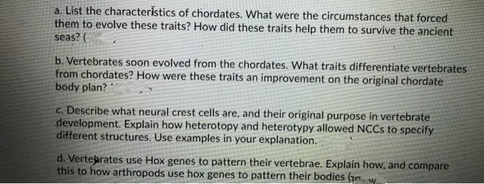 a. List the characteristics of chordates. What were the circumstances that forced
them to evolve these traits? How did these traits help them to survive the ancient
seas? (
b. Vertebrates soon evolved from the chordates. What traits differentiate vertebrates
from chordates? How were these traits an improvement on the original chordate
body plan?
c. Describe what neural crest cells are, and their original purpose in vertebrate
development. Explain how heterotopy and heterotypy allowed NCCS to specify
different structures. Use examples in your explanation.
d. Vertebrates use Hox genes to pattern their vertebrae. Explain how, and compare
this to how arthropods use hox genes to pattern their bodies (1n. w
