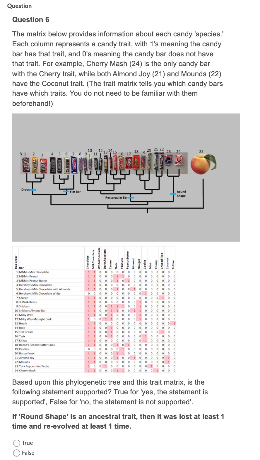 Question
Question 6
The matrix below provides information about each candy 'species.'
Each column represents a candy trait, with 1's meaning the candy
bar has that trait, and O's meaning the candy bar does not have
that trait. For example, Cherry Mash (24) is the only candy bar
with the Cherry trait, while both Almond Joy (21) and Mounds (22)
have the Coconut trait. (The trait matrix tells you which candy bars
have which traits. You do not need to be familiar with them
beforehand!)
10
12
11
20 21 22
23
18 19
24
25
5
6
7 8
Drops
Flat Bar
Round
Shape
Rectangular Bar
Bar
10 0 0 0 0 0 0 0 0 0 0 0 0 o
1 10 0 0 1 1 0 0 0 0 0 0 0 0 0
1 1 0 0 0 1 0 1 0 0 0 o 0 0 0 0
1 10 0 0 0 0 0 0 0 0 0 0 0 0 0
1 1 0 0 0 1 0 0 1 0 0 o 0 0 0 0
O 0 0 0 0 o 0 0 0 0 1 0 0 0 0 0
1 10 0 0 0 0 0 0 0 0 0 0 10 0
1 10 0 0 0 0 0 0 1 0 0 0 0 0 0
M&M's Milk Chocolate
2 M&M's Peanut
3 M&M's Peanut Butter
1
4 Hershey's Milk Chocolate
5 Hershey's Milk Chocolate with Almonds
6 Hershey's Milk Chocolate White
7 Crunch
8 3 Musketeers
9 Snickers
1 1 0 0 1 1 0 0 1 1 0 o 0 0 0 0
1 1 0 0 1 0 0 0 0 1 0 o 0 0 0 0
10 0 1 1 0 0 0 0 1 0 0 0 0 0 0
1 1 0 0 0 0 0 0 0 0 0 0 0 0 0 1
1 1 0 0 1 0 0 0 0 0 0 o 0 0 0 0
110 0 1 0 0 0 0 0 0 0 0 10 0
1 10 0 1 0 0 0 0 0 1 0 0 0 0 0
1 10 0 0 o 0 0 0 0 1 0 0 0 0 0
1 1 0 0 0 1 0 1 0 0 0 0 0 0 0 0
0 0 0 0 0 0 10 0 0 0 0 0 0 0 0
10 Snickers Almond Bar
11 Milky Way
12 Milky Way Midnight Dark
13 Heath
14 Rolo
15 100 Grand
16 Twix
17 Kitkat
18 Reese's Peanut Butter Cups
19 PayDay
20 Butterfinger
110 0 0 100 10 0 0 0 0 10
1 10 0 0 0 0 0 0 0 0 0 0 0 10
10 0 1 0 o 0 0 0 0 0 1 0 0 0 0
1 10 0 0 1 1 0 0 o 0 0 10 0 0
21 Almond Joy
22 Mounds
23 York Peppermint Pattie
24 Cherry Mash
Based upon this phylogenetic tree and this trait matrix, is the
following statement supported? True for 'yes, the statement is
supported', False for 'no, the statement is not supported'.
If 'Round Shape' is an ancestral trait, then it was lost at least 1
time and re-evolved at least 1 time.
True
False
O HERSHEYS
tree order
00
