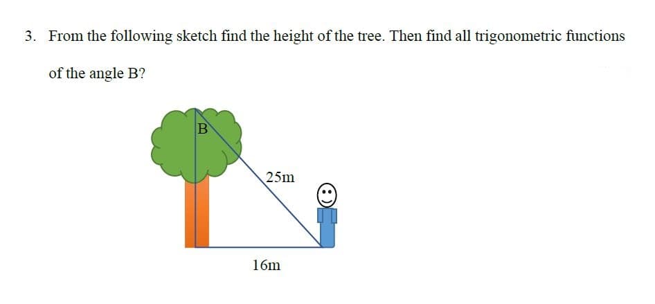 3. From the following sketch find the height of the tree. Then find all trigonometric functions
of the angle B?
B
25m
16m
