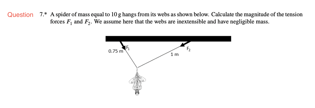 Question 7.* A spider of mass equal to 10 g hangs from its webs as shown below. Calculate the magnitude of the tension
forces F, and F,. We assume here that the webs are inextensible and have negligible mass.
0.75 m
F2
1m
