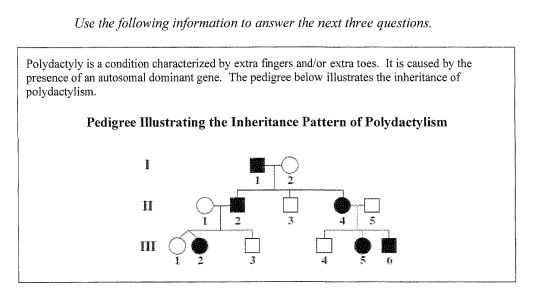 Use the following information to answer the next three questions.
Polydactyly is a condition characterized by extra fingers and/or extra toes. It is caused by the
presence of an autosomal dominant gene. The pedigree below illustrates the inheritance of
polydactylism.
Pedigree Illustrating the Inheritance Pattern of Polydactylism
I
5
III
1