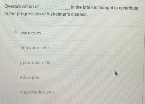 Overactivation of
in the brain is thought to contribute
to the progression of Alzheimer's disease.
astrocytes
Schwann cells
pyramidal cells
microglia
oligodendrocytes
