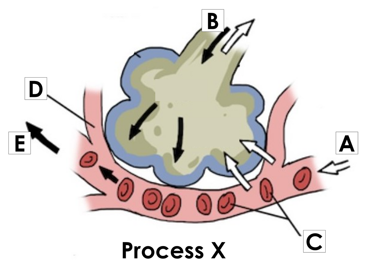 B.
D
Process X
