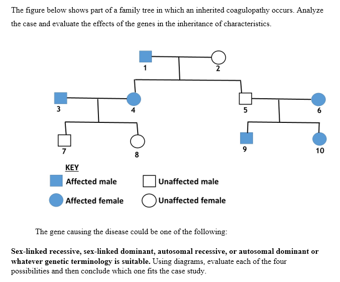 The figure below shows part of a family tree in which an inherited coagulopathy occurs. Analyze
the case and evaluate the effects of the genes in the inheritance of characteristics.
2
3
6
7
9
10
8
KEY
| Affected male
Unaffected male
Affected female
OUnaffected female
The gene causing the disease could be one of the following:
Sex-linked recessive, sex-linked dominant, autosomal recessive, or autosomal dominant or
whatever genetic terminology is suitable. Using diagrams, evaluate each of the four
possibilities and then conclude which one fits the case study.
