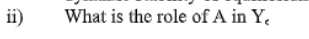 ii)
What is the role of A in Y.
