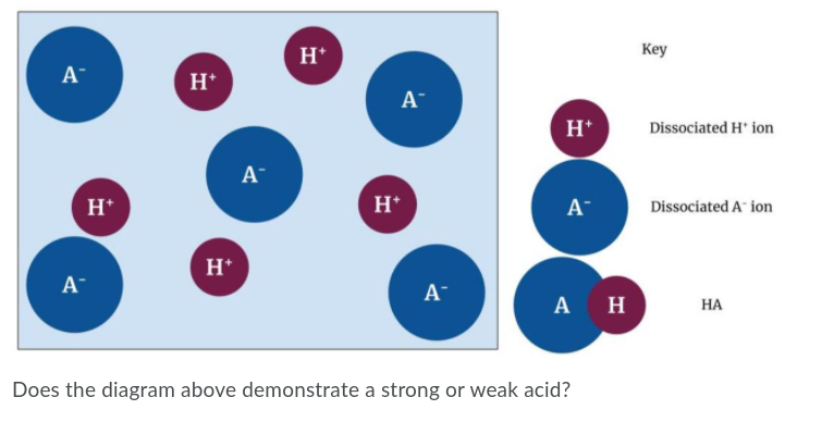 H*
Key
A-
H*
A
H*
Dissociated H' ion
A
H*
H*
A-
Dissociated A ion
H*
A
A-
A H
НА
Does the diagram above demonstrate a strong or weak acid?
