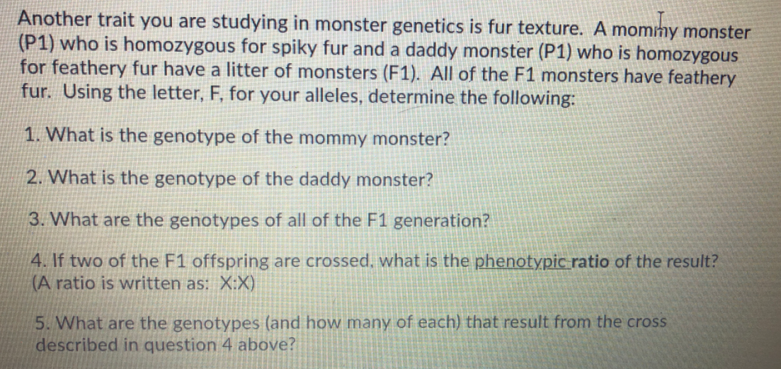 Another trait you are studying in monster genetics is fur texture. A mommy monster
(P1) who is homozygous for spiky fur and a daddy monster (P1) who is homozygous
for feathery fur have a litter of monsters (F1). All of the F1 monsters have feathery
fur. Using the letter, F, for your alleles, determine the following:
1. What is the genotype of the mommy monster?
2. What is the genotype of the daddy monster?
3. What are the genotypes of all of the F1 generation?
4. If two of the F1 offspring are crossed, what is the phenotypic ratio of the result?
(A ratio is written as: X:X)
5. What are the genotypes (and how many of each) that result from the cross
described in question 4 above?
