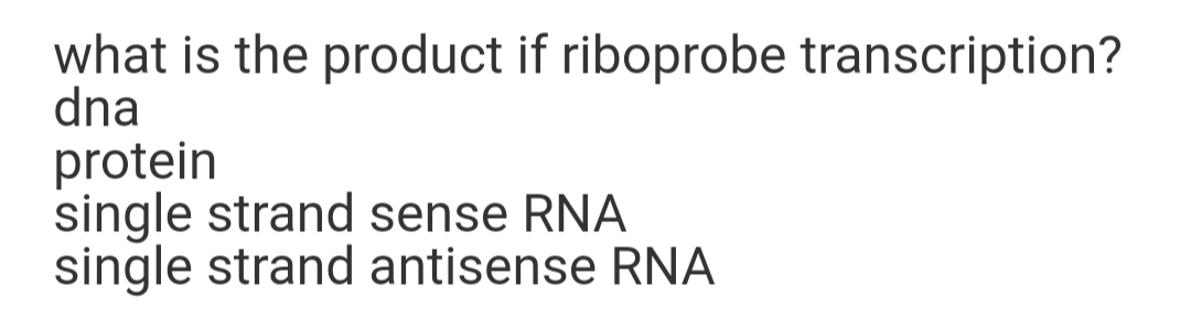 what is the product if riboprobe transcription?
dna
protein
single strand sense RNA
single strand antisense RNA
