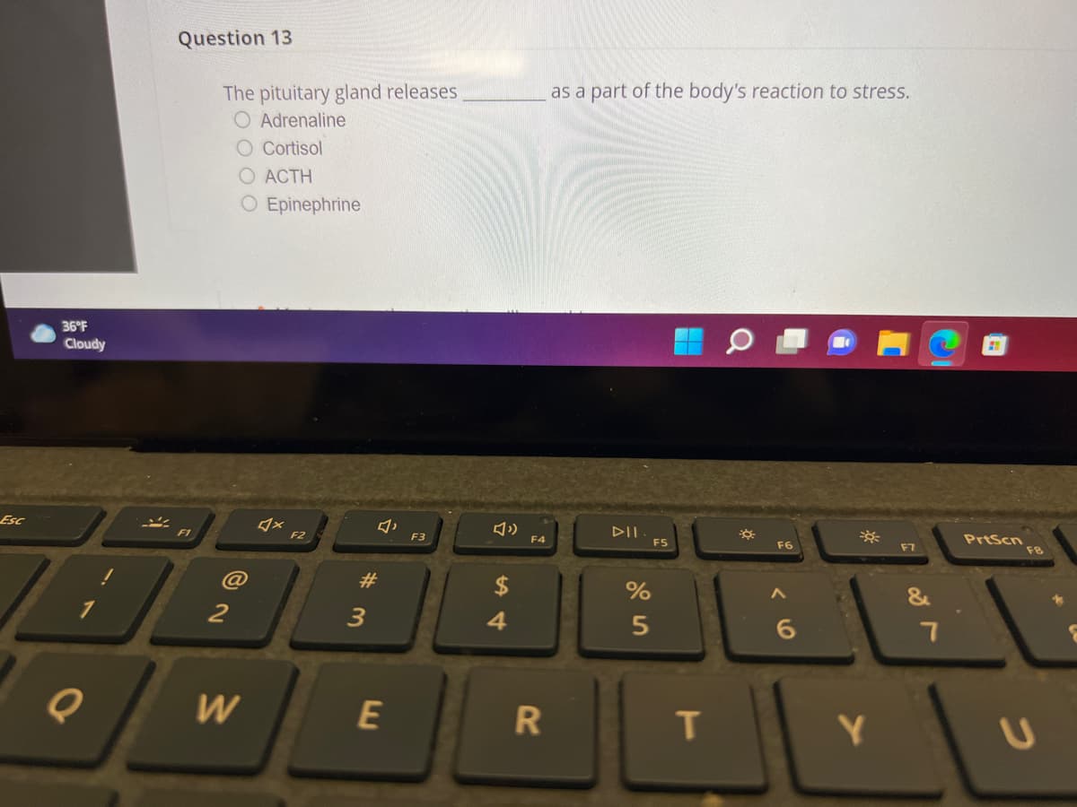 Question 13
as a part of the body's reaction to stress.
The pituitary gland releases
O Adrenaline
O Cortisol
O ACTH
O Epinephrine
36°F
Cloudy
ダ×
DII
PrtScn
F8
Esc
F7
F1
F3
F4
FS
F6
#
%
&
2
3
4.
Q
W
E
T.
Y.
つ
く0
