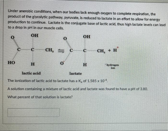 Under anerobic conditions, when our bodies lack enough oxygen to complete respiration, the
product of the glycolytic pathway, pyruvate, is reduced to lactate in an effort to allow for energy
production to continue. Lactate is the conjugate base of lactic acid, thus high lactate levels can lead
to a drop in pH in our muscle cells.
0
OH
OH
0
C
сH, - с
C
CH, + H
HO
H
0
H
hydrogen
ion
lactic acid
lactate
The ionization of lactic acid to lactate has a K₂ of 1.585 x 10-4.
A solution containing a mixture of lactic acid and lactate was found to have a pH of 3.80.
What percent of that solution is lactate?
с