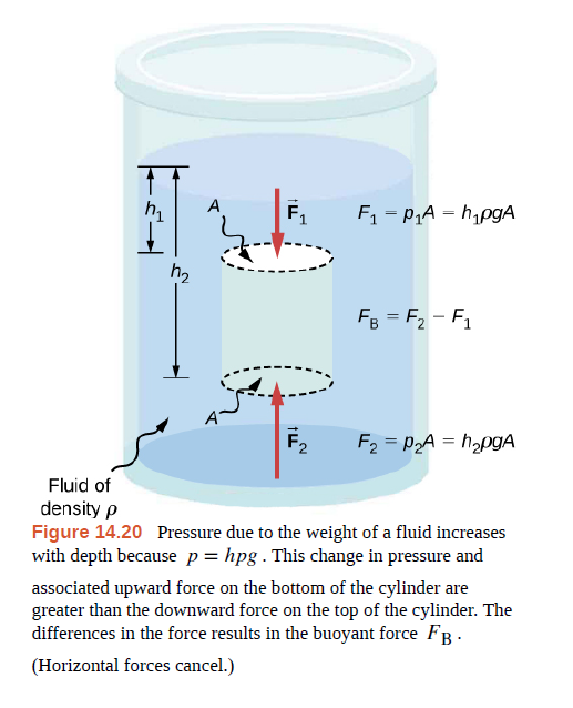 h,
F1
F = P,A = h,pgA
FB = F2 - F,
F2
F2 = P2A = h2pgA
%3D
Fluid of
density p
Figure 14.20 Pressure due to the weight of a fluid increases
with depth because p = hpg . This change in pressure and
associated upward force on the bottom of the cylinder are
greater than the downward force on the top of the cylinder. The
differences in the force results in the buoyant force FB.
(Horizontal forces cancel.)
