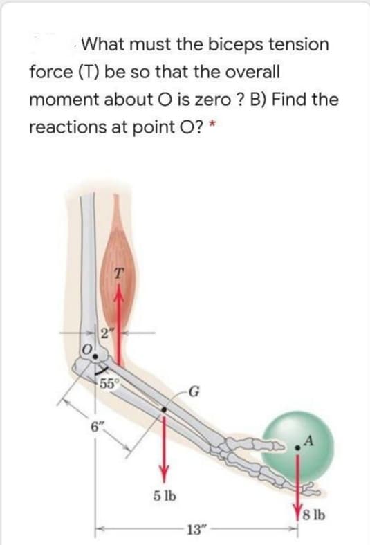 What must the biceps tension
force (T) be so that the overall
moment about O is zero ? B) Find the
reactions at point O? *
T.
2"
55°
G
6"
A
5 lb
8 lb
13"
