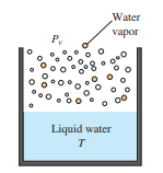 Water
vapor
P,
00
Liquid water
т
