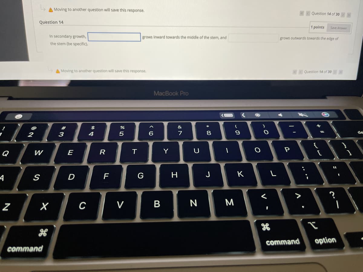 A Moving to another question will save this response.
« < Question 14 of 30
Question 14
1 points
Save Answer
In secondary growth,
grows inward towards the middle of the stem, and
grows outwards towards the edge of
the stem (be specific).
A Moving to another question will save this response.
Question 14 of 30
MacBook Pro
*
23
$
&
6.
8
2
3
4
7
de
Q
W
E
R
T.
Y
P
4
S
D
F
G
H
J
K
>
Z
V
N
M
command
option
command
-
wレ
V -
しの
B
