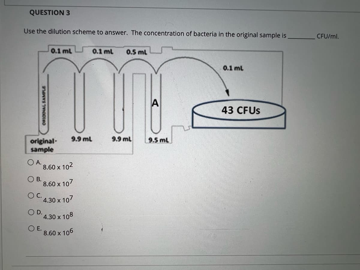 QUESTION 3
Use the dilution scheme to answer. The concentration of bacteria in the original sample is
CFU/ml.
0.1 ml
0.1 ml
0.5 ml
0.1 ml
A
43 CFUS
9.9 ml
9.9 ml
9.5 ml
original-
sample
А.
8.60 x 102
О В.
8.60 x 107
OC.
4.30 x 107
OD.
4.30 x 108
OE.
8.60 x 106
ORIONAL SAMPLE
